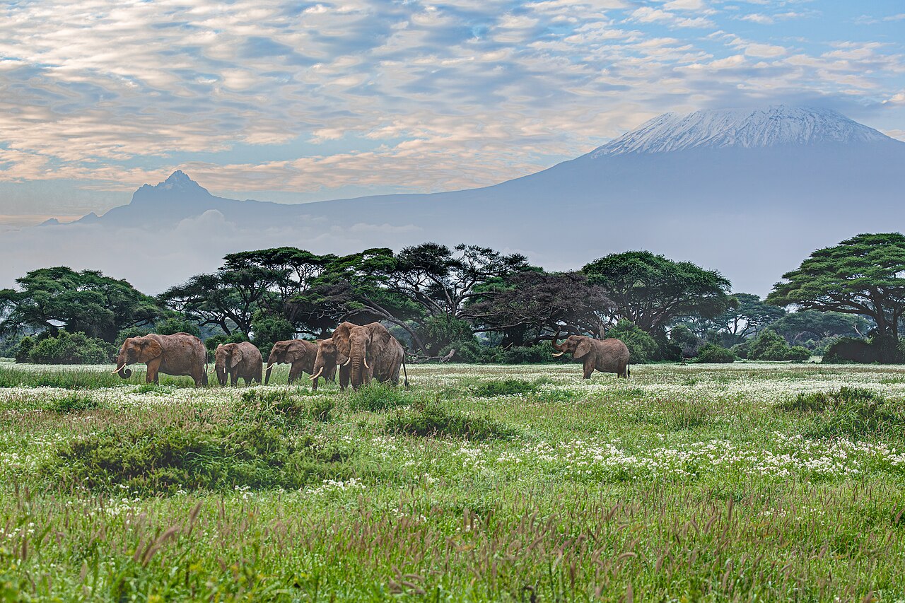 Amboseli, Kenya